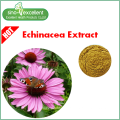 Extrato de Echinacea 100% natural